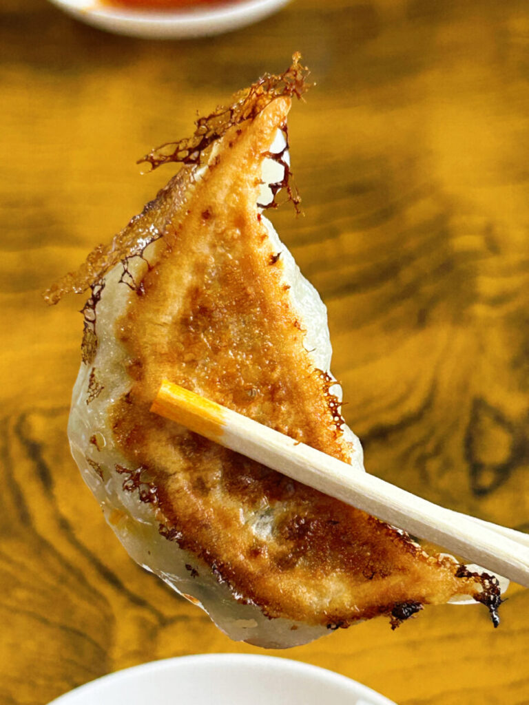 宝来食堂 手作りギョーザ写真