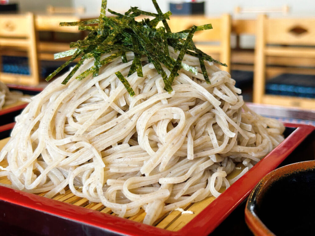 東山庵 ざるそば(並)&ミニ煮込かつ丼セット