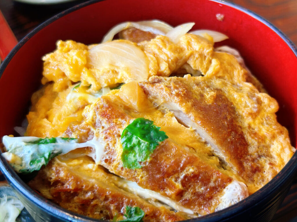 東山庵 ざるそば(並)&ミニ煮込かつ丼セット