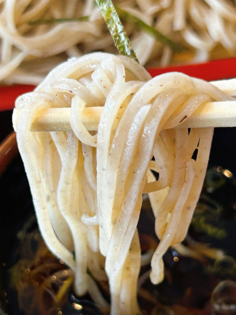 東山庵 ざるそば(並)&ミニ煮込かつ丼セット