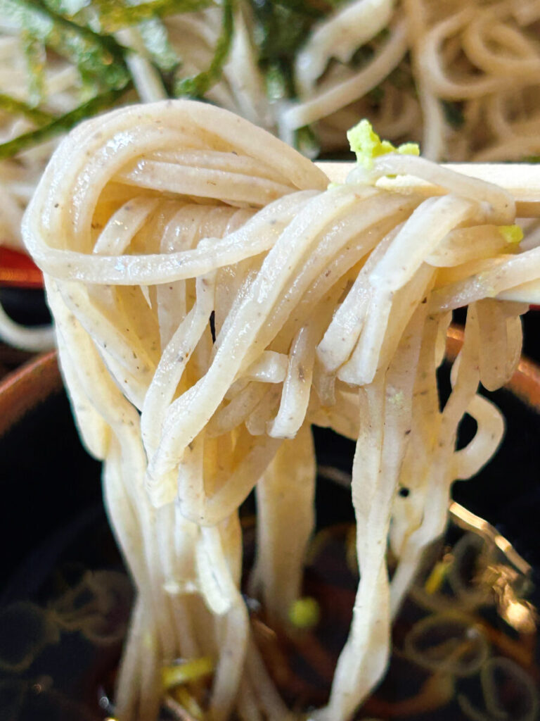 東山庵 ざるそば(並)&ミニ煮込かつ丼セット