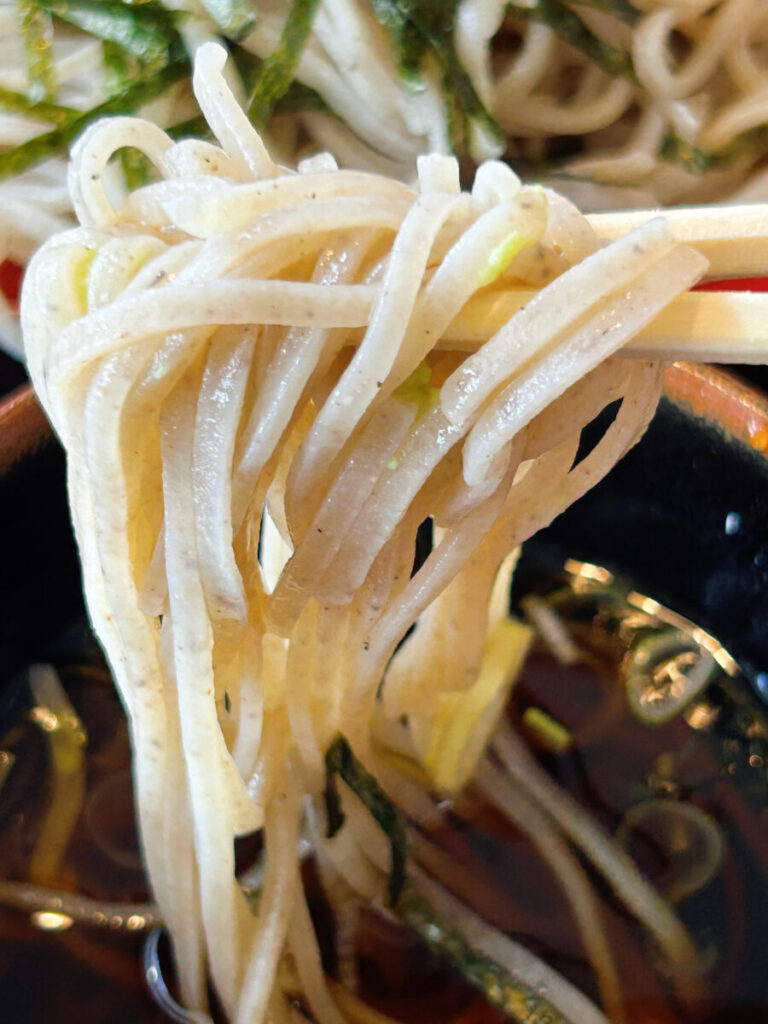 東山庵 ざるそば(並)&ミニ煮込かつ丼セット