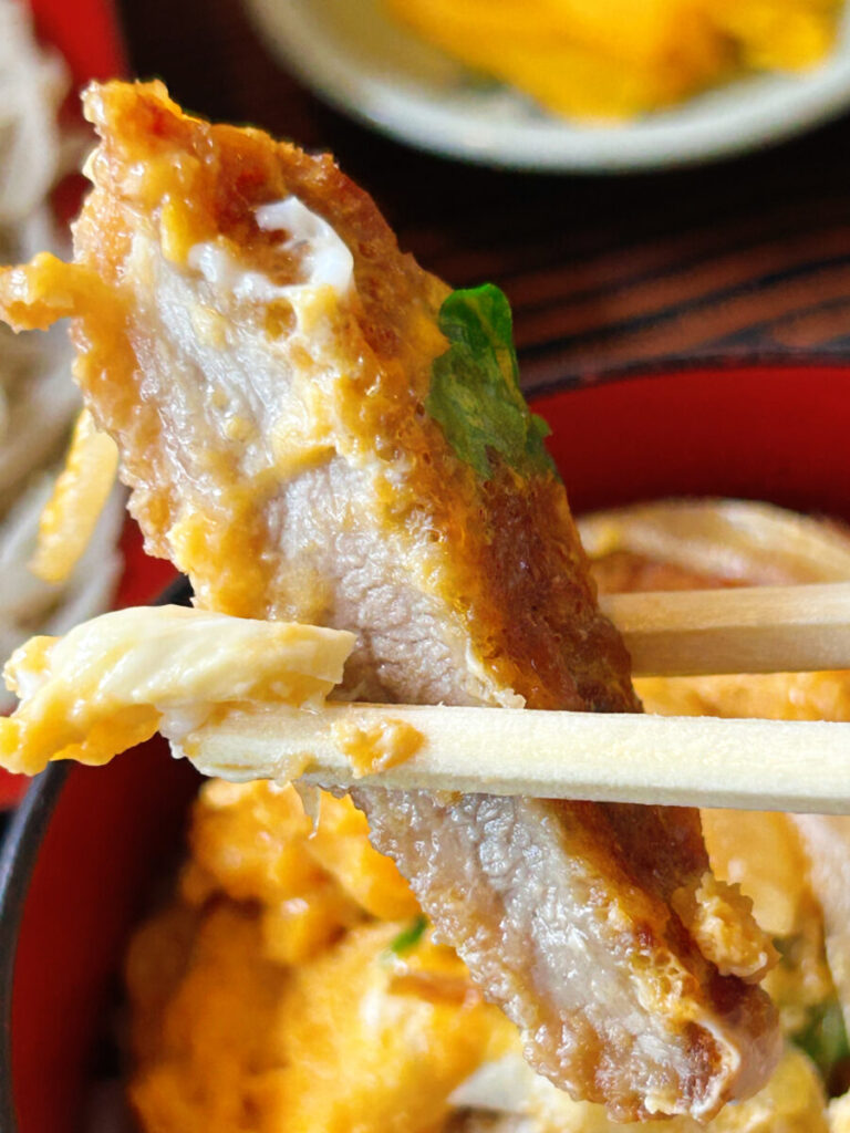 東山庵 ざるそば(並)&ミニ煮込かつ丼セット