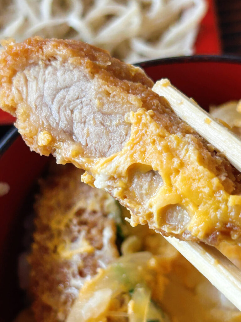 東山庵 ざるそば(並)&ミニ煮込かつ丼セット