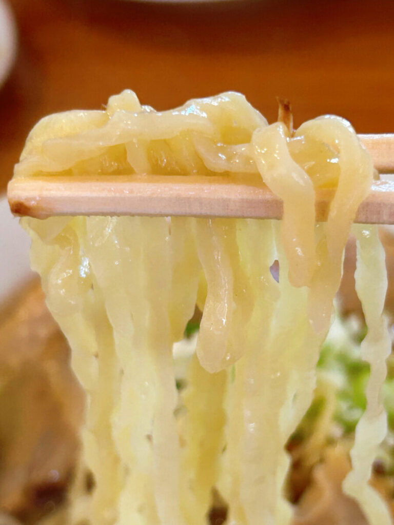 うえんで 本店 会津山塩チャーシューメン 大盛 写真