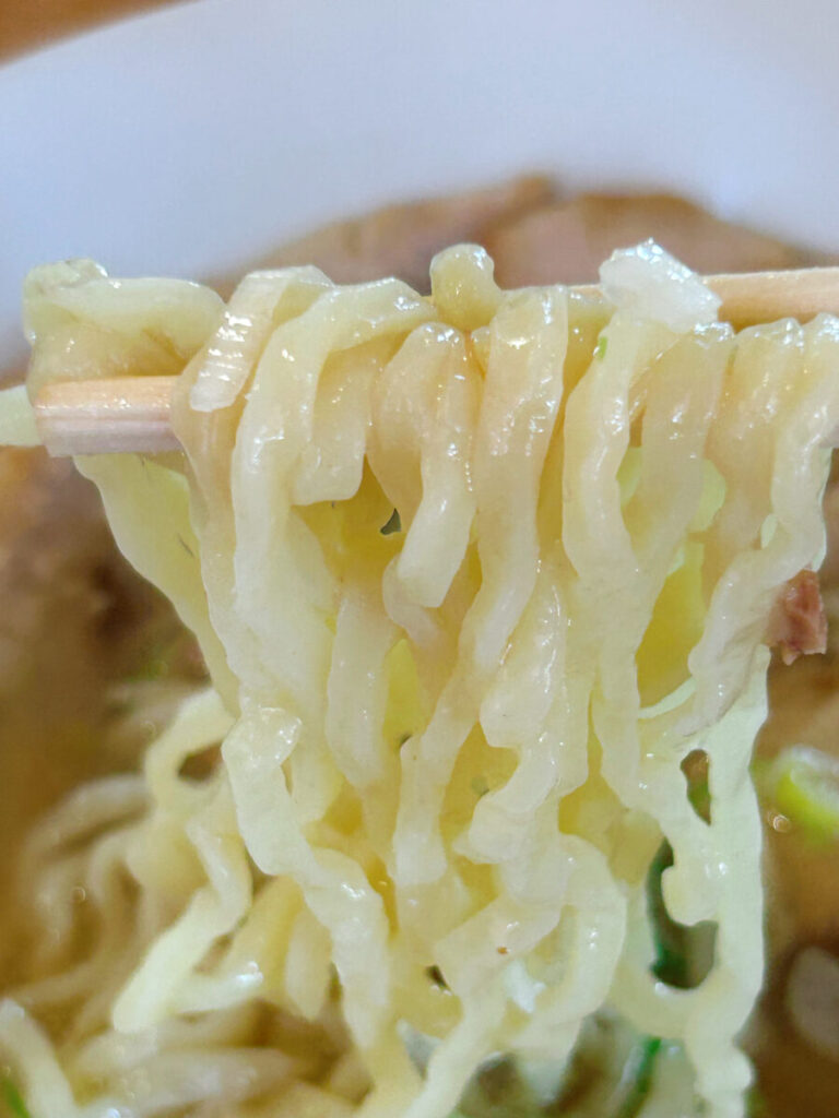うえんで 本店 普通麺と手打麺の違い