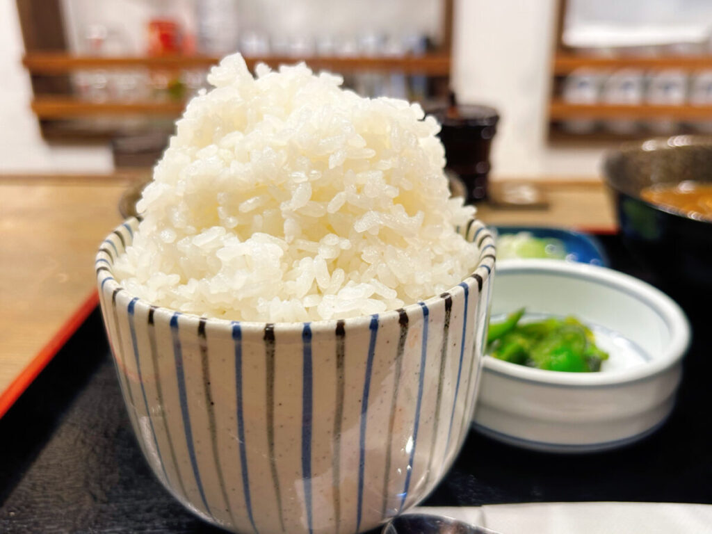 もつ煮の寿 ダブル定食(もつ焼き&もつカレー)&ご飯大盛
