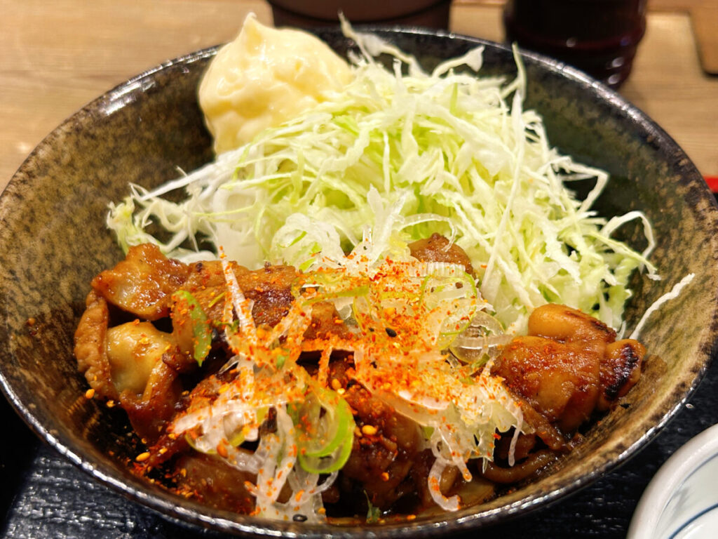 もつ煮の寿 ダブル定食(もつ焼き&もつカレー)&ご飯大盛