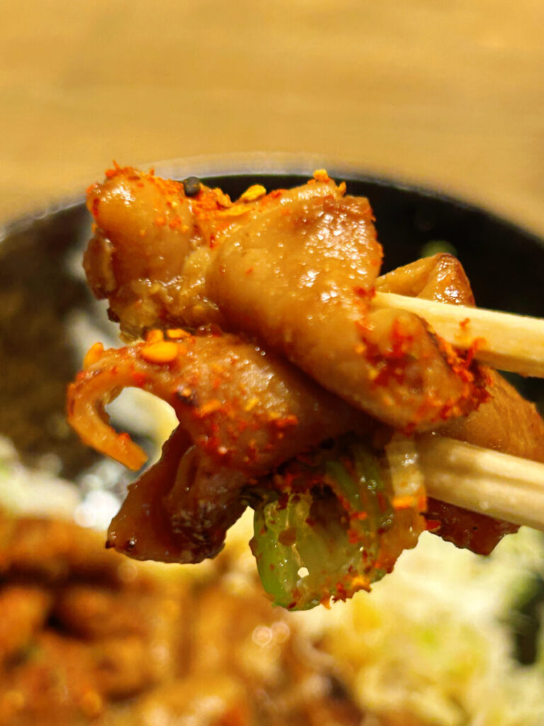 もつ煮の寿 ダブル定食(もつ焼き&もつカレー)&ご飯大盛