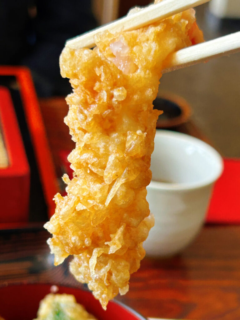 東山庵 ざるそば（並）＆ミニえび天丼 