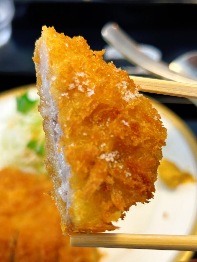 會津遊食たか膳 黒豚とんかつ定食とチョットのカレー