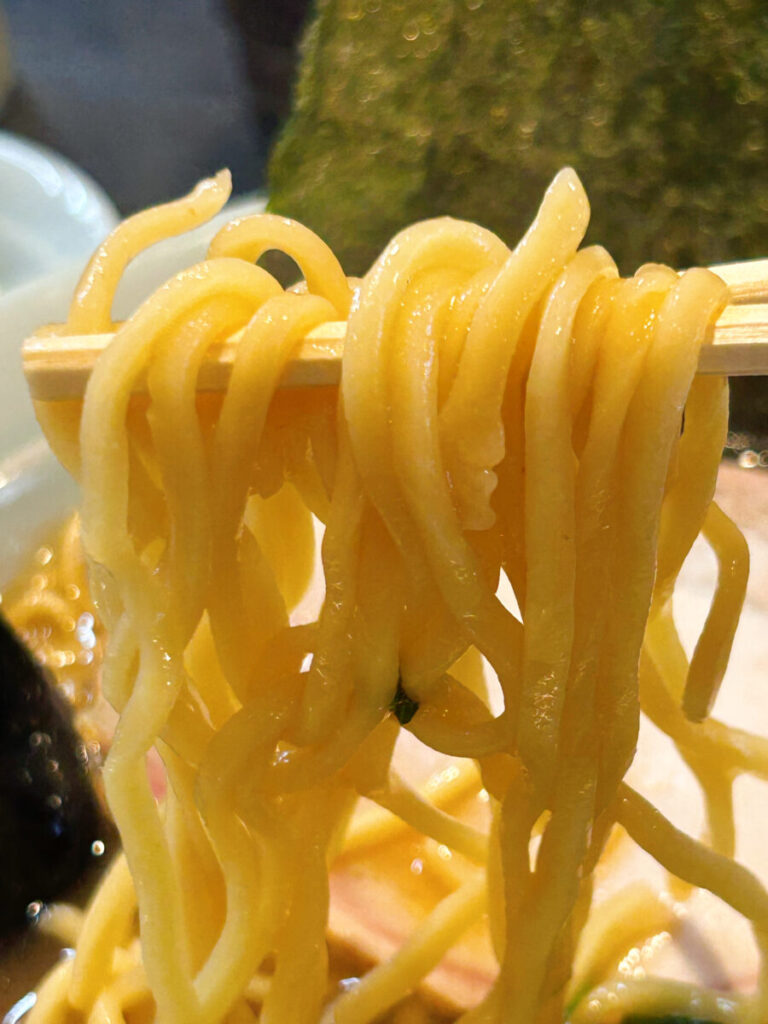 横浜家系ラーメン 郷戸家本店 家系ラーメン 大盛 写真 会津若松市