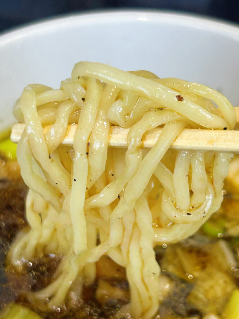 うえんで 山鹿店 つけ麺大盛 あつ盛