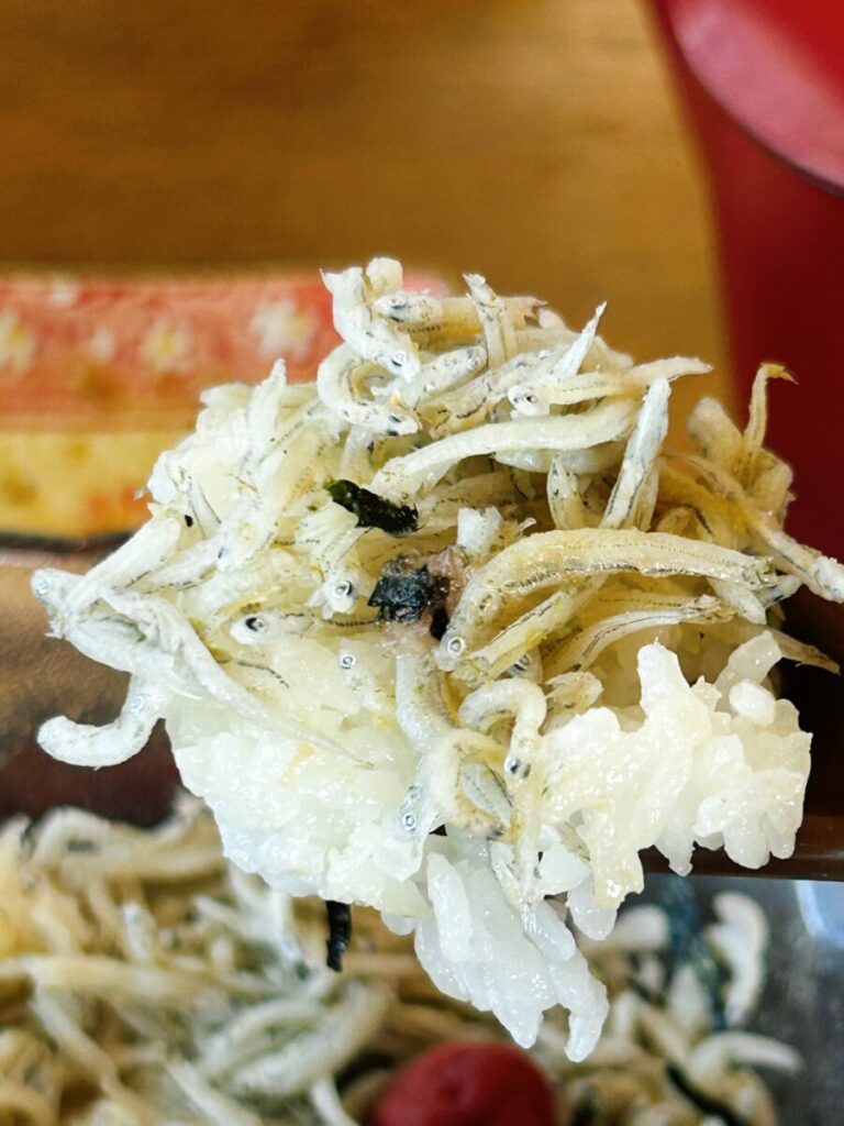 そばの蔵 美國庵 釜揚げシラスとねぎとろ丼とそば大盛