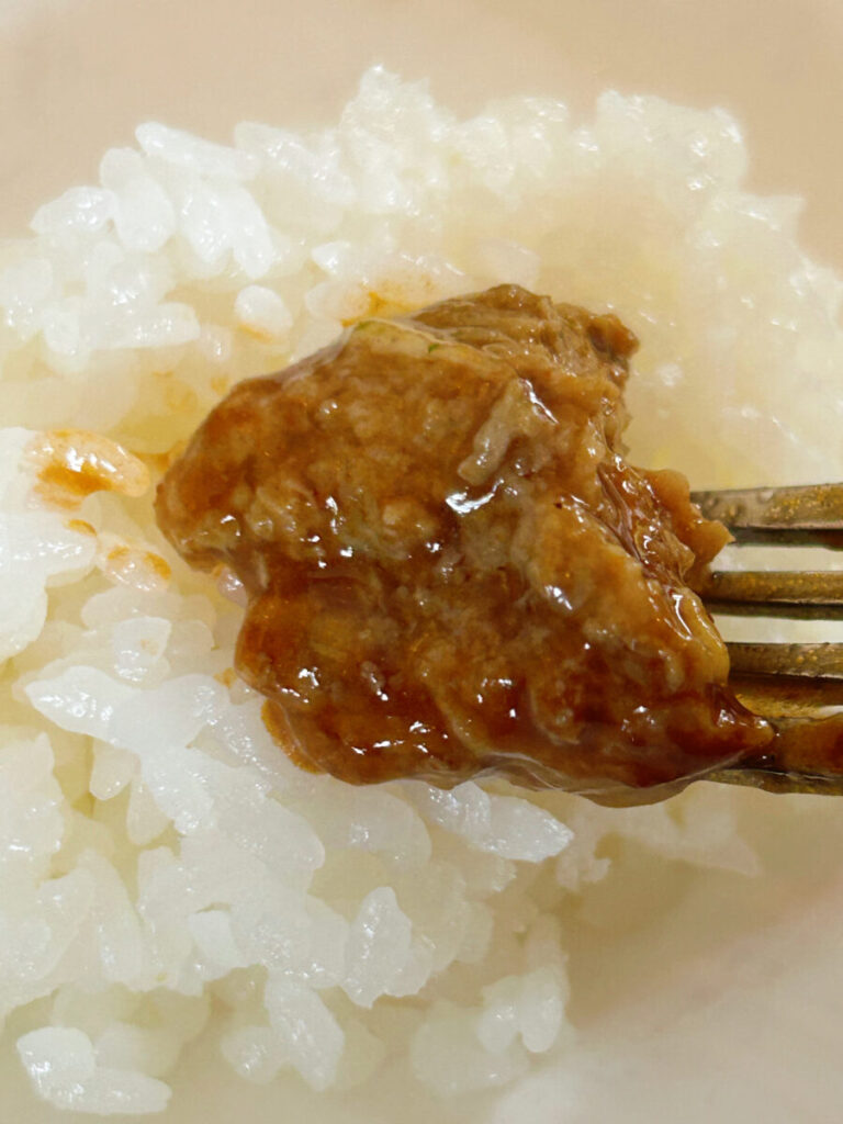 洋食屋ふらいと 煮込みチーズハンバーグ