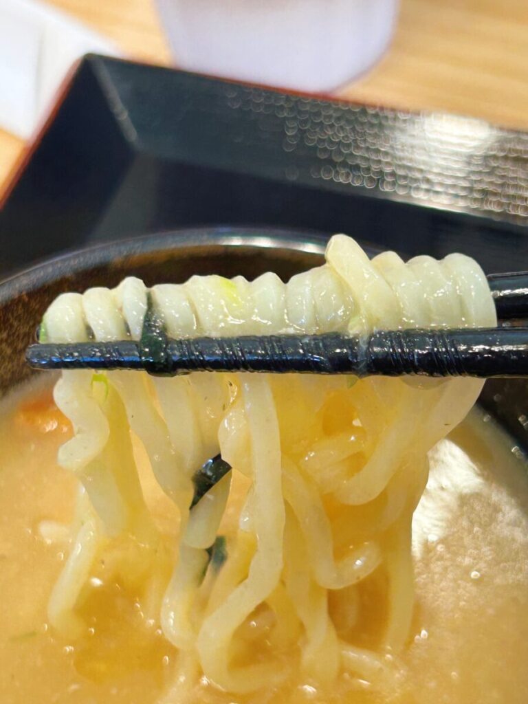 会津乃てんぐ 鶏白湯つけ麺