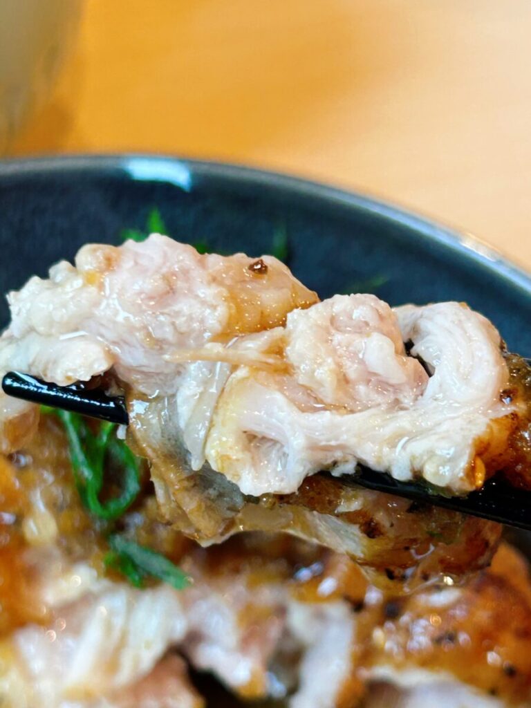 KOJYO 115 猪苗代 こじょう カフェ ディナー ポークジンジャー