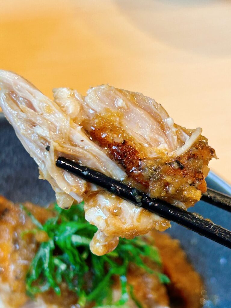 KOJYO 115 猪苗代 こじょう カフェ ディナー ポークジンジャー