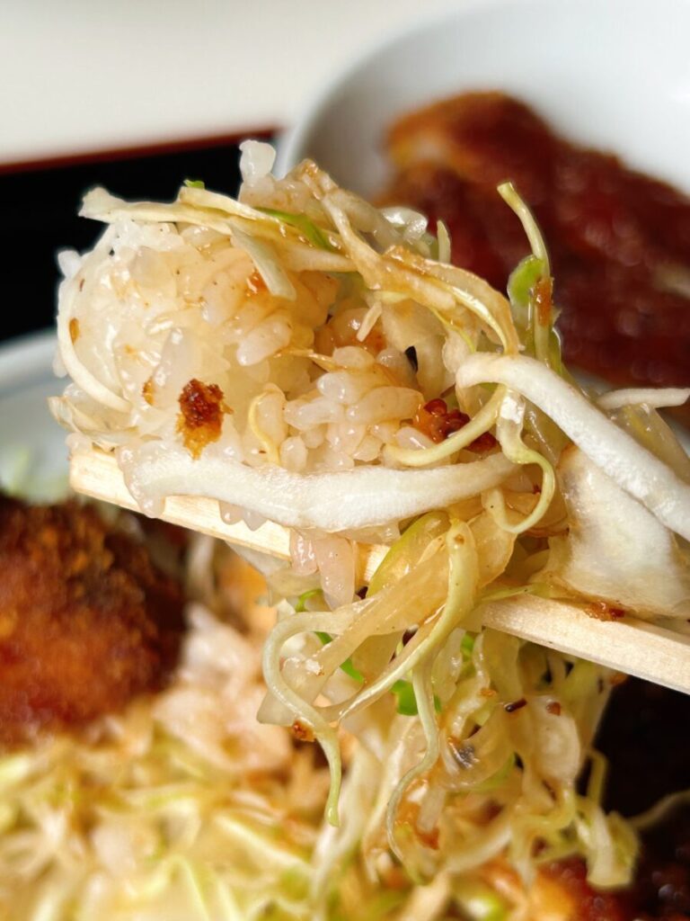 ドライブインあいづ ソースかつ丼 ソースカツ丼