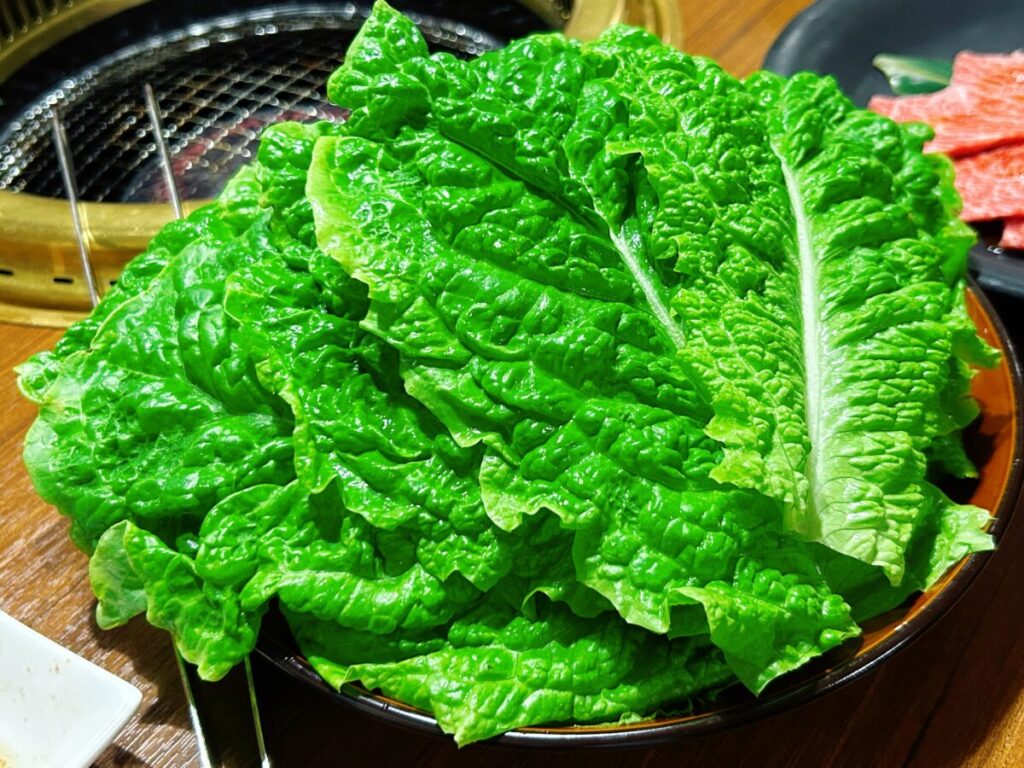 鍋と焼肉 だるま サンチュ