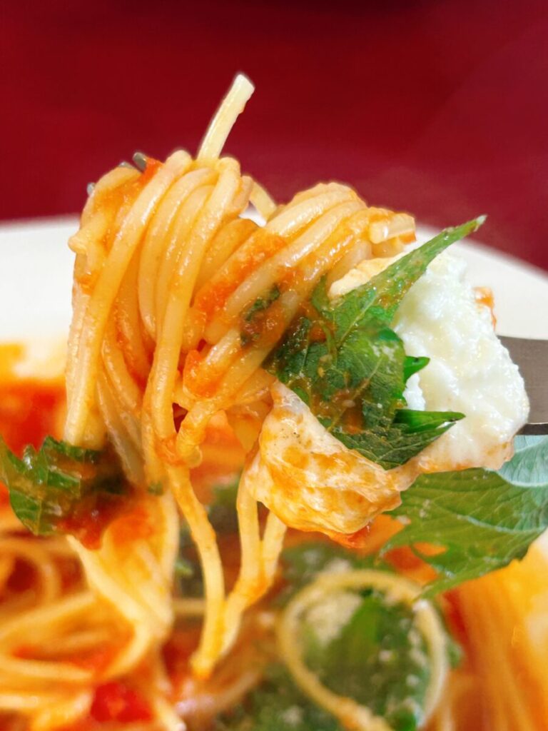 ポタジエレストラン 菜園ランチ モッツァレラチーズのトマトソーススパゲッティー