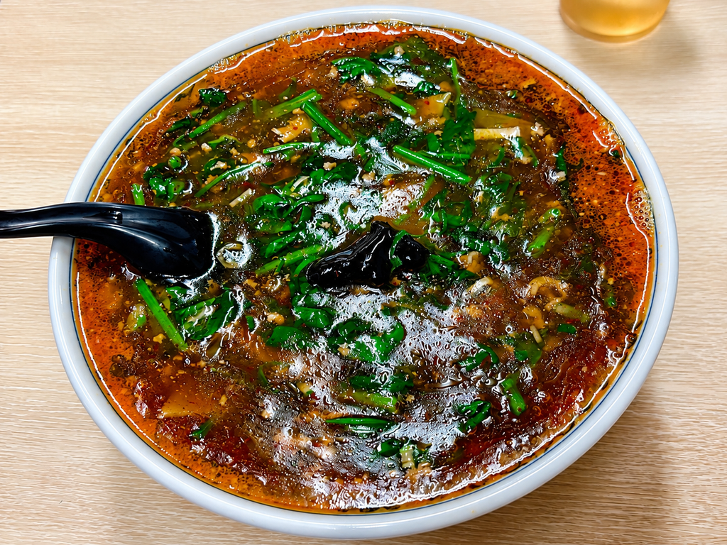 中華しせん家 担々麺 大盛