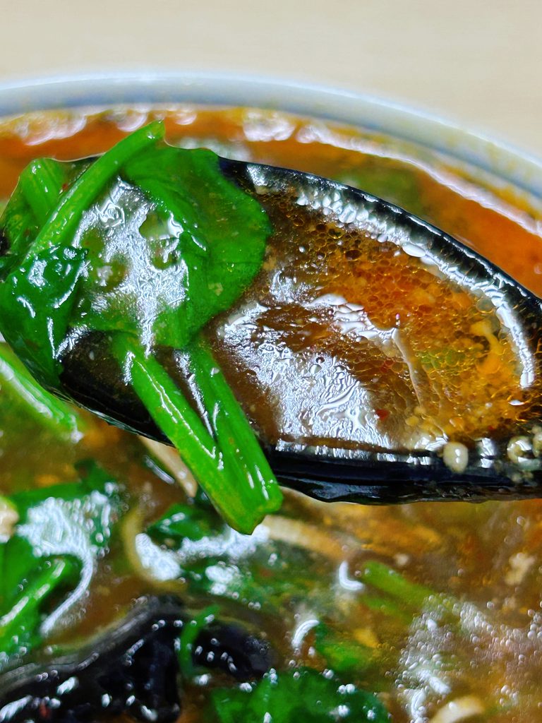 中華しせん家 担々麺 大盛
