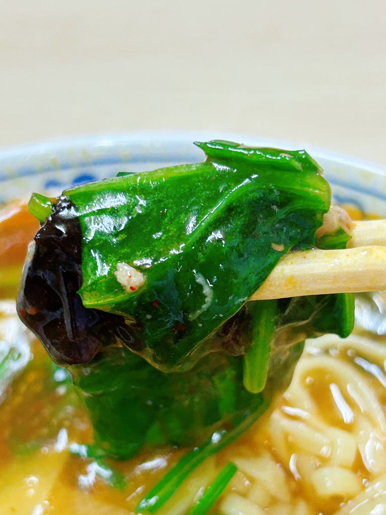 中華しせん家 担々麺 大盛