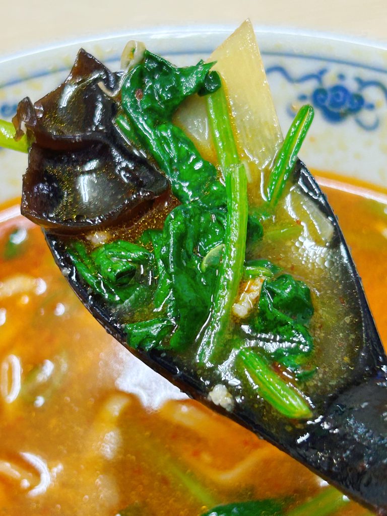 中華しせん家 担々麺 大盛